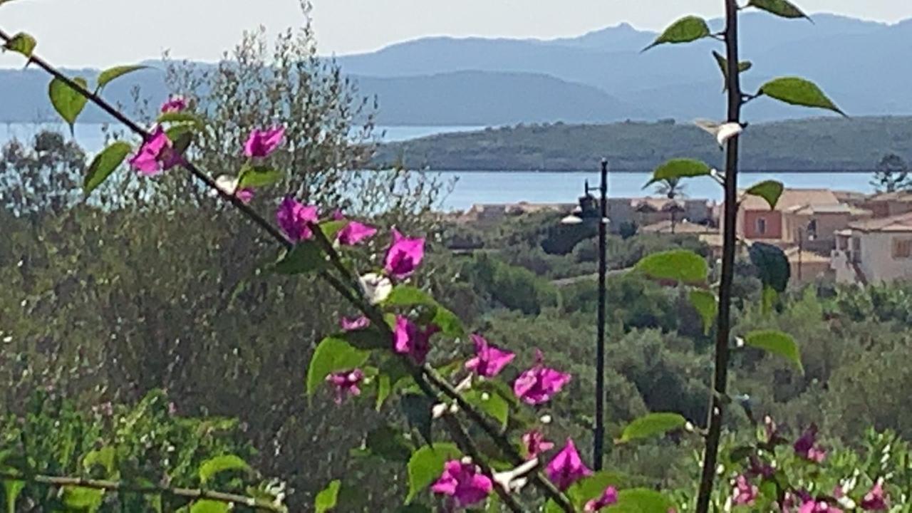 Villa Casa Adelaide, Oasi Di Pace Con Vista Mare à Olbia Extérieur photo